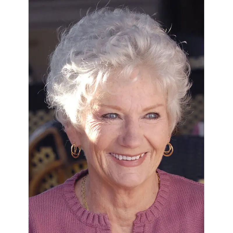 Heat Friendly Wigs Grey Short Wavy Classic Wigs