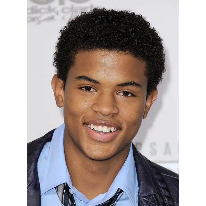 Perfect Black Curly Short Men Wigs