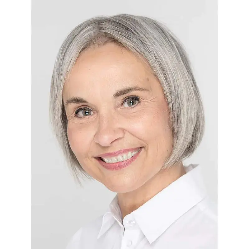 Grey Hair Wig Monofilament Synthetic Bobs Straight Chin Length Wigs