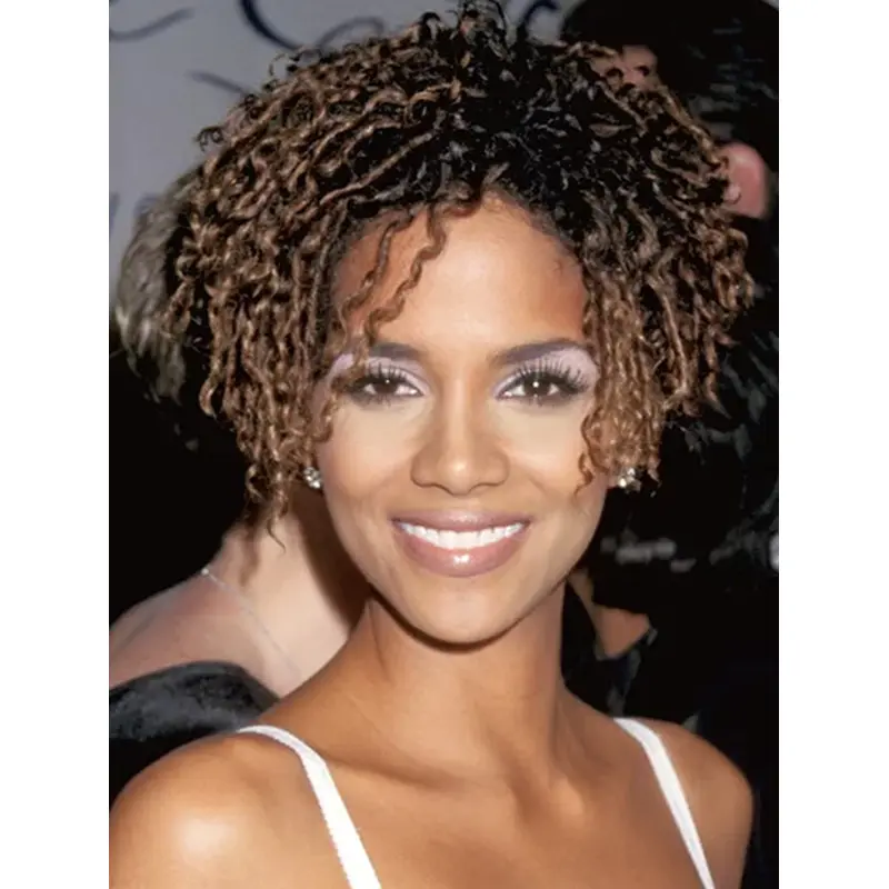Curly Brown Lace Front Short Without Bangs Halle Berry Wigs