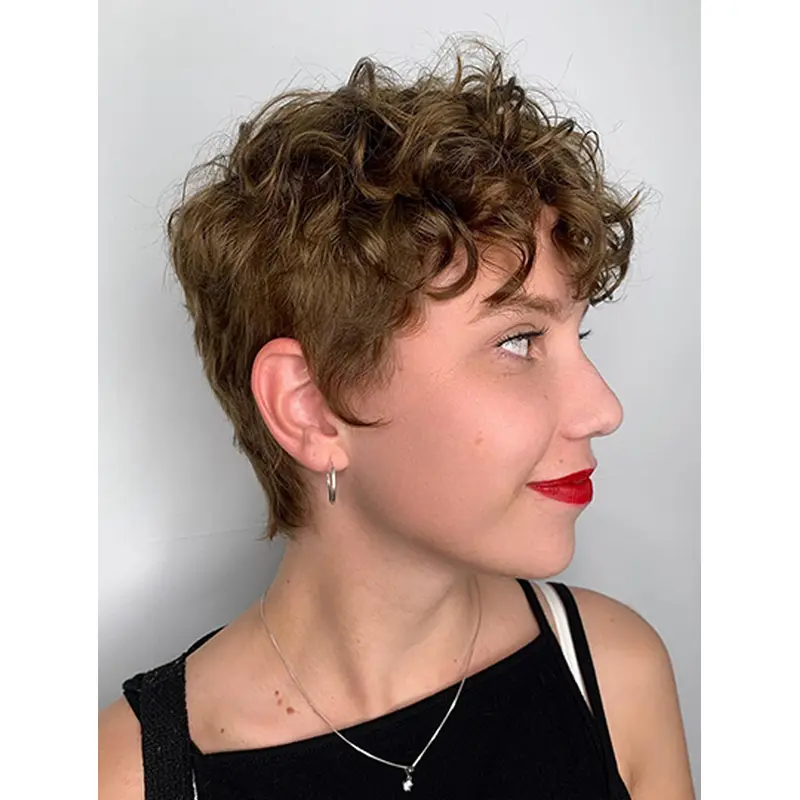 4" Boycuts Synthetic Curly Ladies Short Wigs