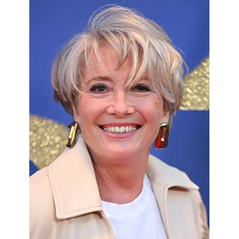 Monofilament Bobs Grey Short Remy Human Hair Wigs