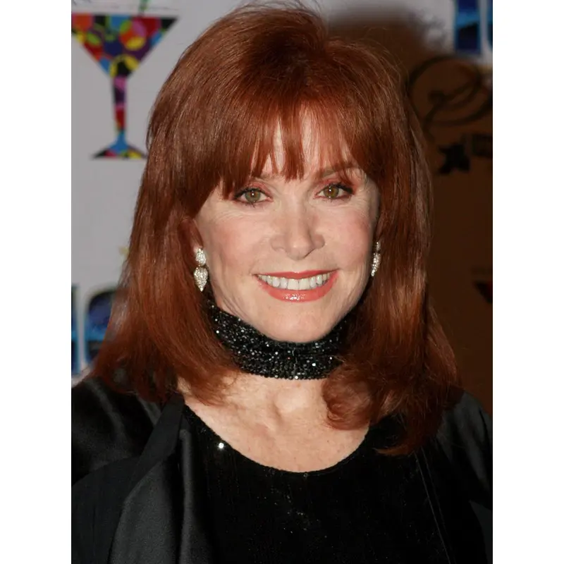 Shoulder Length Straight Full Lace Copper 14" Grey Wigs