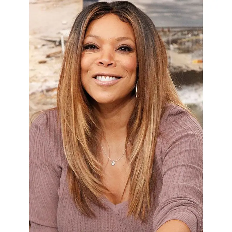 Straight 20 Inch Wendy Williams Inspired Celebrity Two Tone Wigs