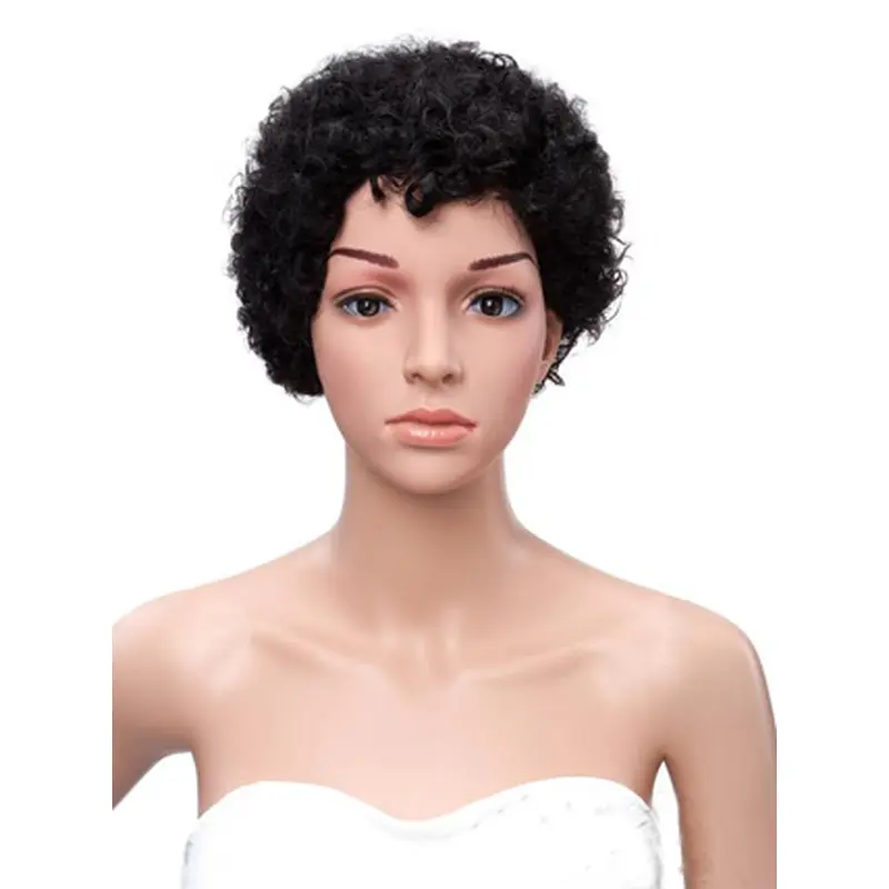 Short Kinky Curly Black Women Human Hair Wigs