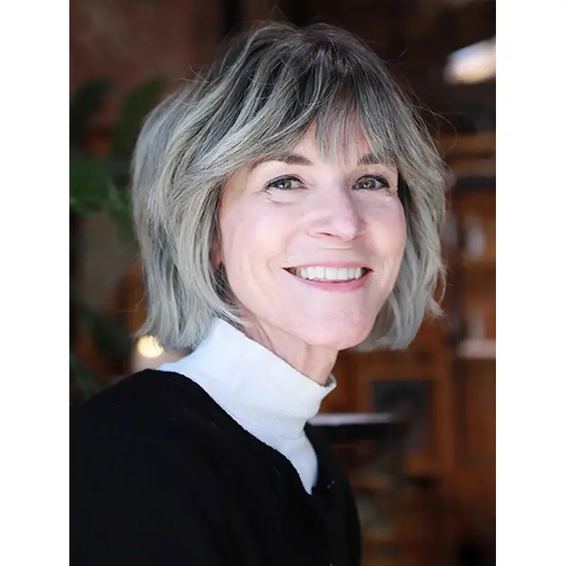 Chin Length Monofilament 10" Grey Fashion Medium Bob Wigs