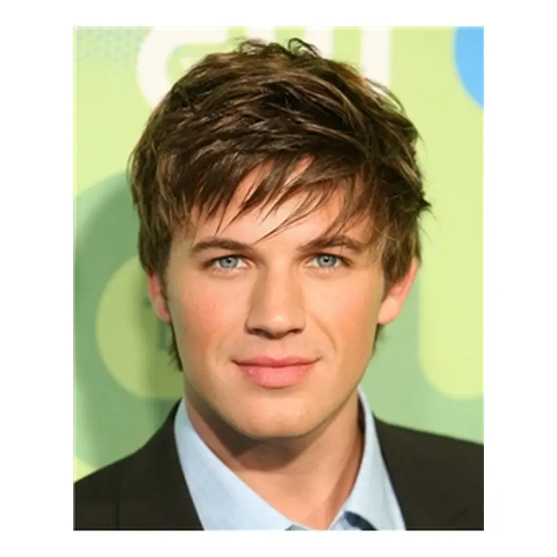 Fabulous Brown Straight Cropped Men Wigs