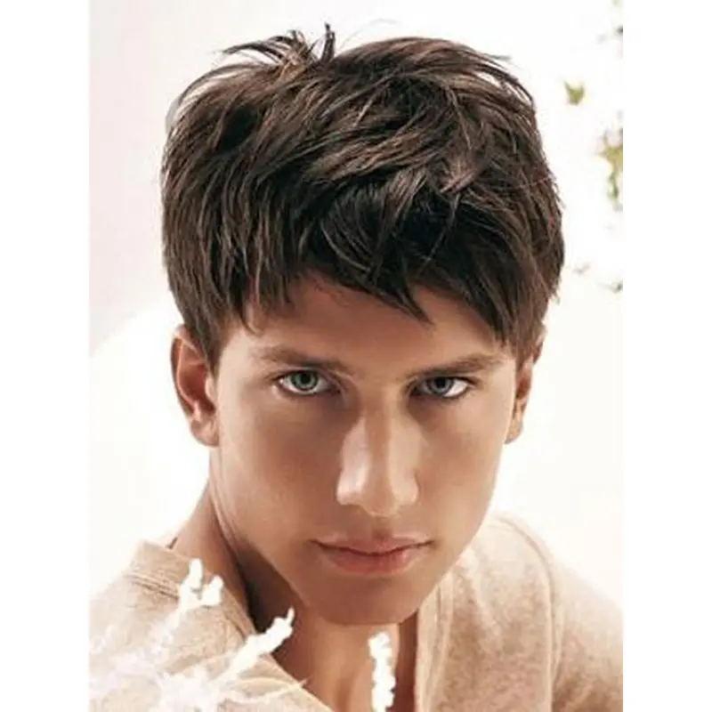 Brown Straight Elegant Men Wigs