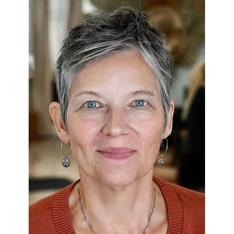 Short Pixie Wigs Synthetic Boycuts Lace Front Wigsbeautiful Wavy Short Grey Wigs