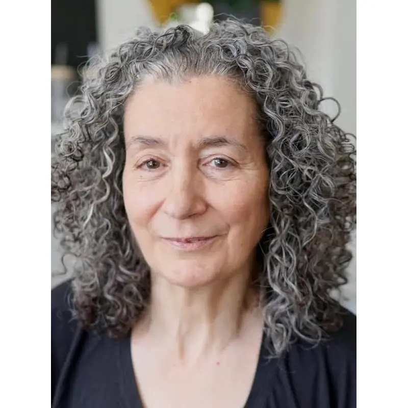 Grey Lace Front Wig Remy Human Hair Curly Layered Shoulder Length Wigs