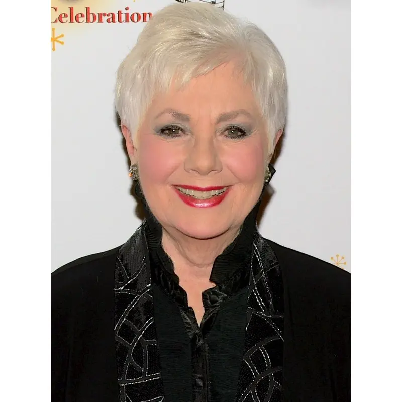 Short Straight Capless Remy Human Hair Wigs for Women hfnb125