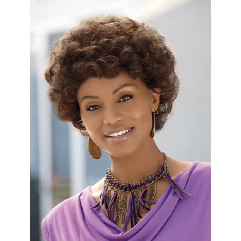 Hairstyles Brown Curly Short African American Wigs