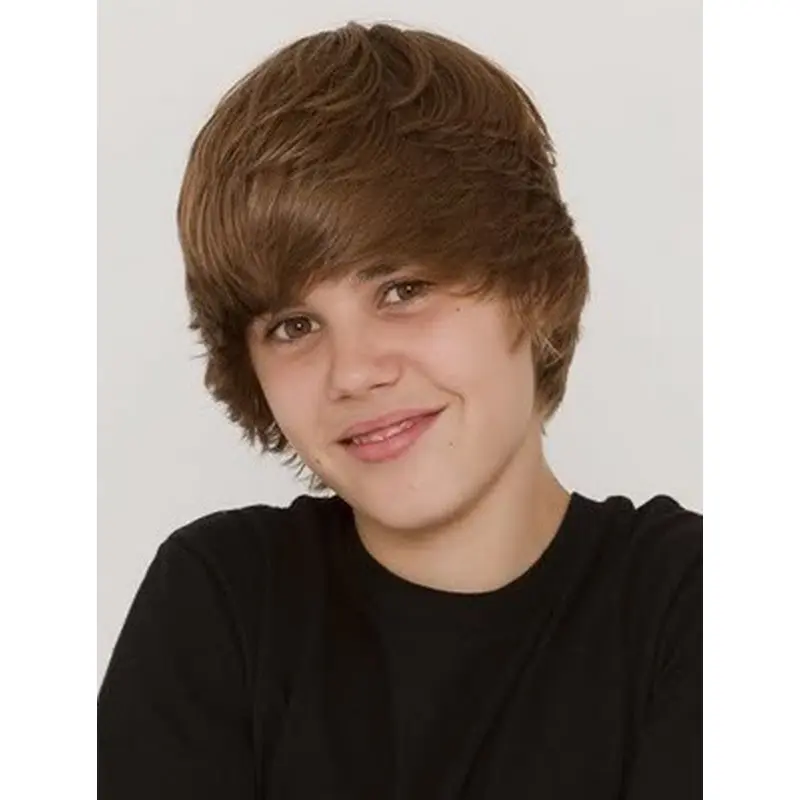 Comfortable Auburn Straight Short Men Wigs