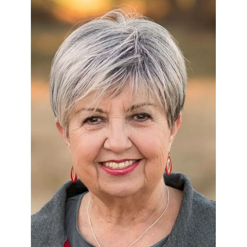 Short Grey Wigs For Older Ladies 4" Straight Monofilament Wigs