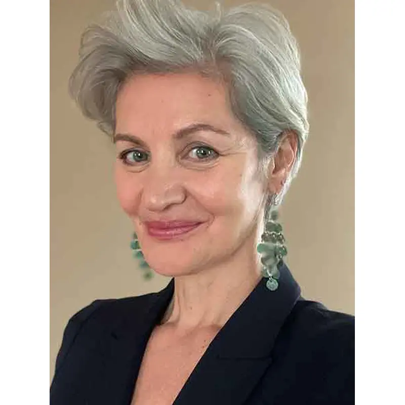 Short Wigs Wavy Lace Front Wigs Synthetic Durable Wigs