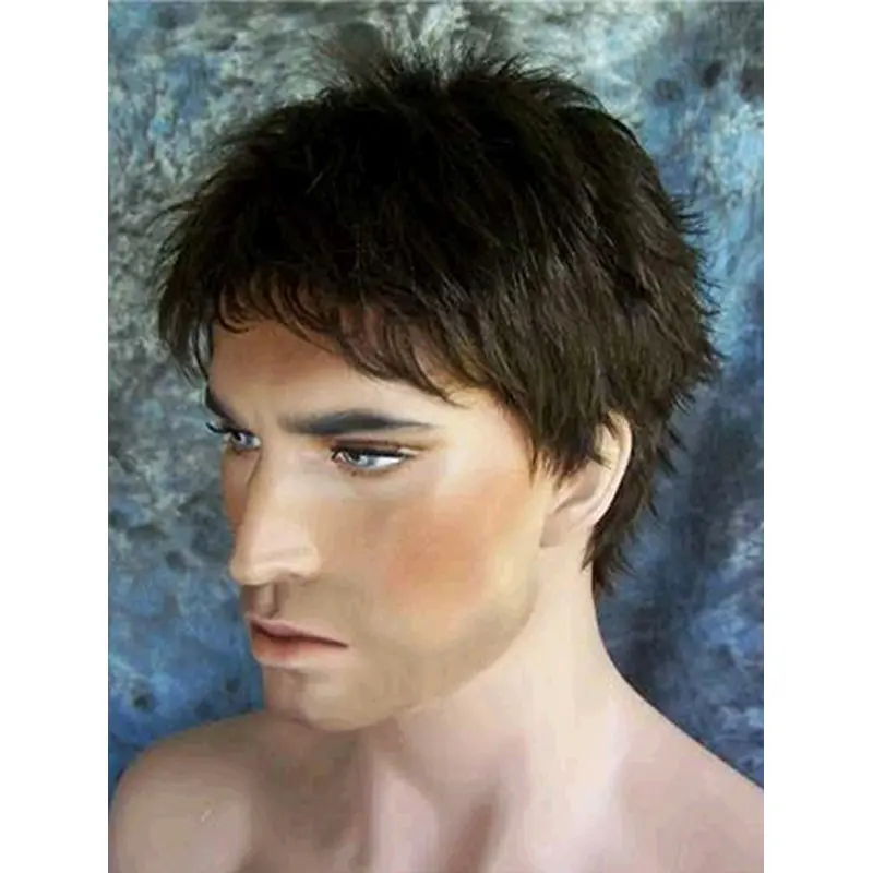 Polite Black Straight Short Men Wigs