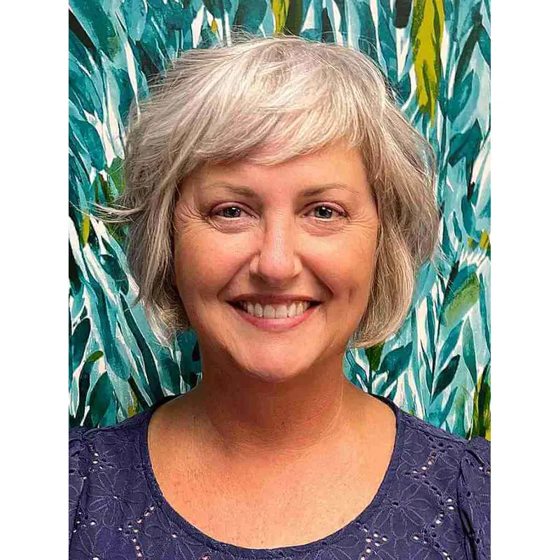 Short Grey Wigs Straight Synthetic Wigs Designed Lace Front Wigs