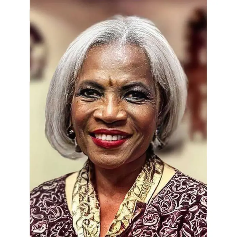 Natural Looking Wigs African American Bobs Monofilament 8" Wigs