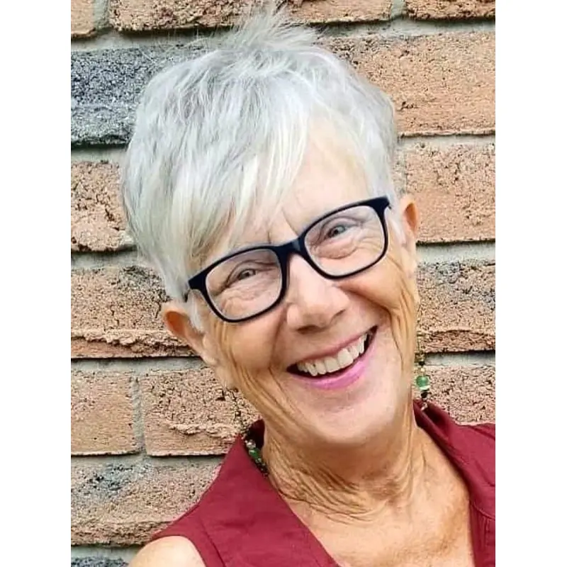 Grey Human Hair Wigs Lace Front Boycuts 4" Cropped Wigs