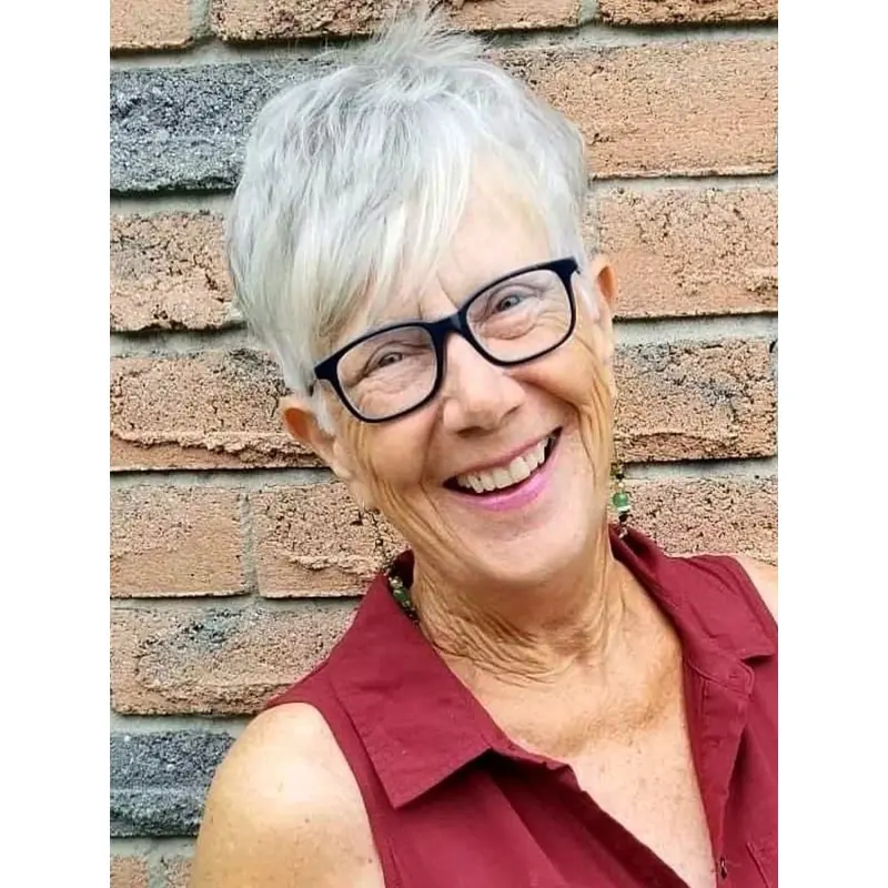 Short Wigs Straight Lace Front Wigs Synthetic Fashion Wigs