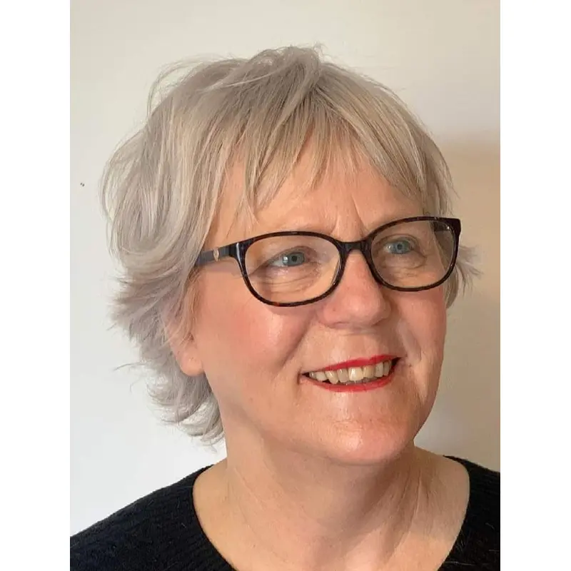 Short Grey Wigs Wavy Lace Front Wig Synthetic Boycuts Online Pixie Wigs