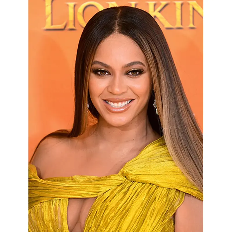 24" Straight Long Lace Front Without Bangs Brown Beyonce Wigs