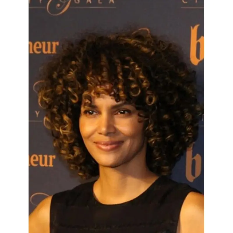 Curly Brown Lace Front Chin Length Without Bangs Halle Berry Wigs