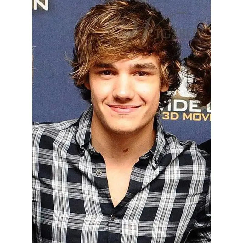 Natural Brown Wavy Short Men Wigs