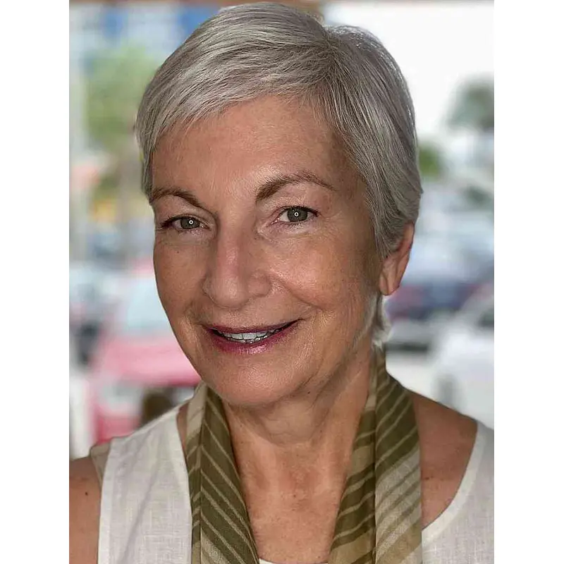 Short Gray Wigs Discount Synthetic Wigs Lace Front Cropped Wigs