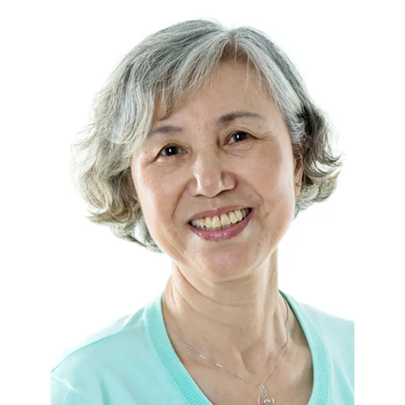 Short Grey Wigs For Sale Monofilament Synthetic Wigs