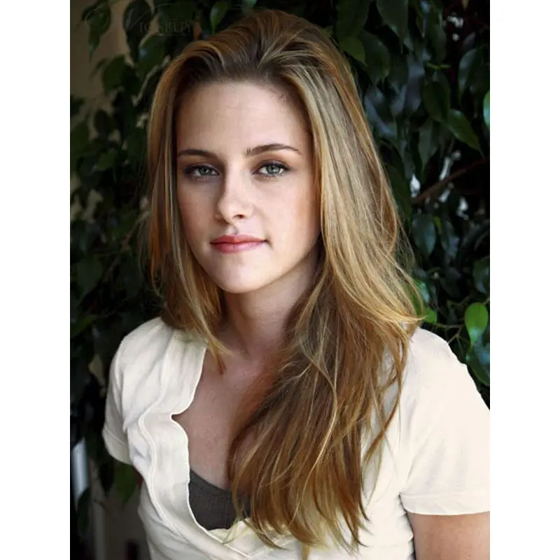 Refined Lace Front Straight Long Celebrity Wigs