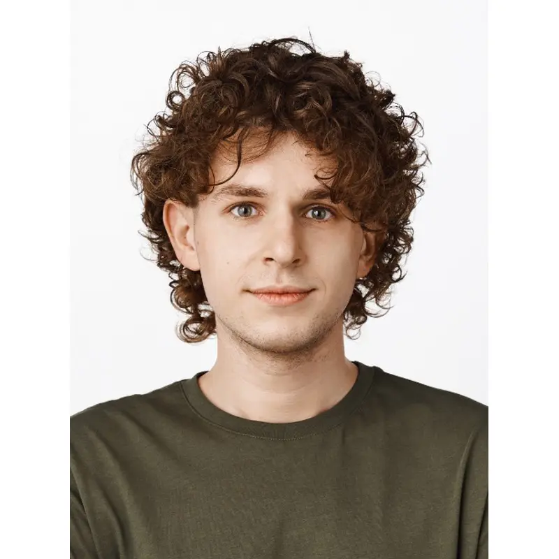 Short Mens Wig Curly Sythetic 8" Without Bangs Wigs