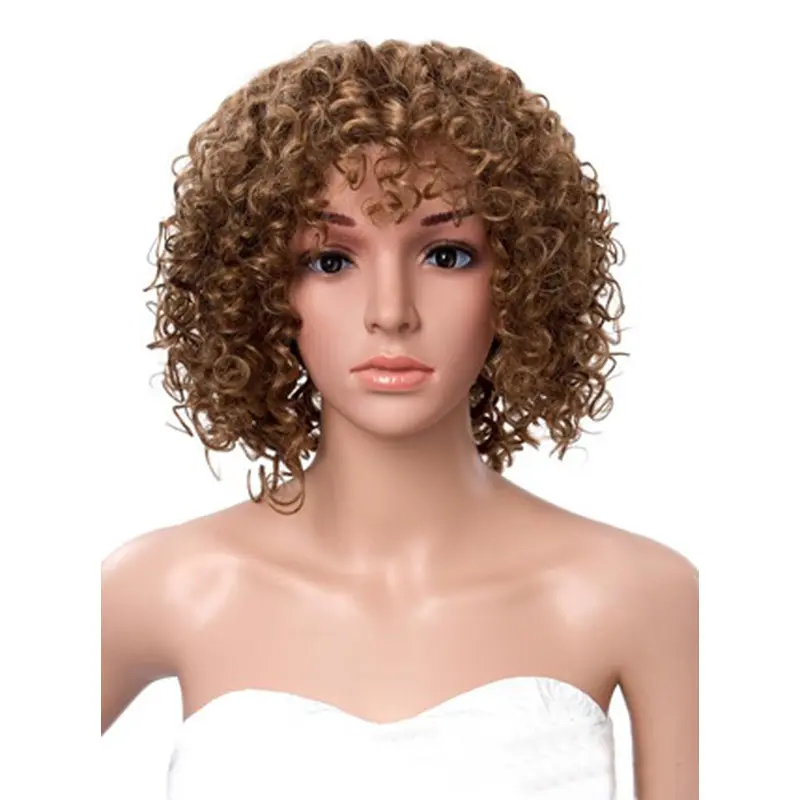 Afro American Kinky Curly Human Hair Lace Front Wigs 12 Inches