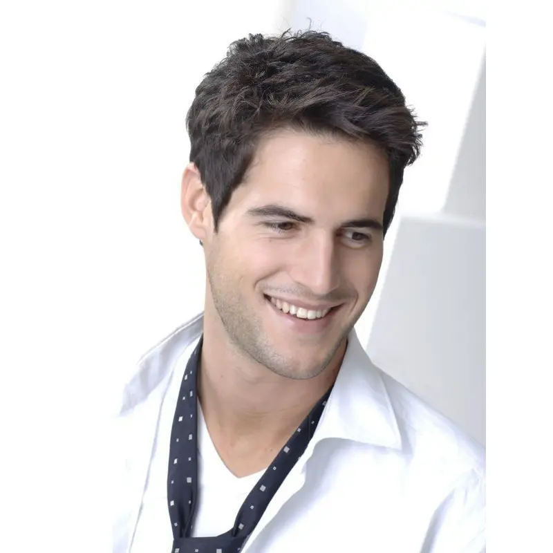 Faddish Brown Straight Short Men Wigs