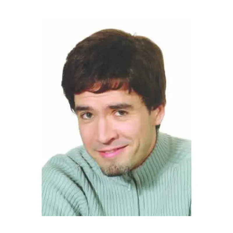 Gorgeous Brown Straight Short Men Wigs