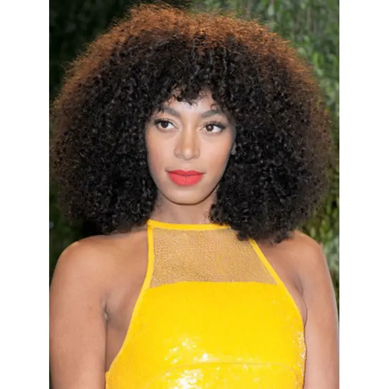 Solange Konwles Curly Human Hair Wig Kinky Wigs