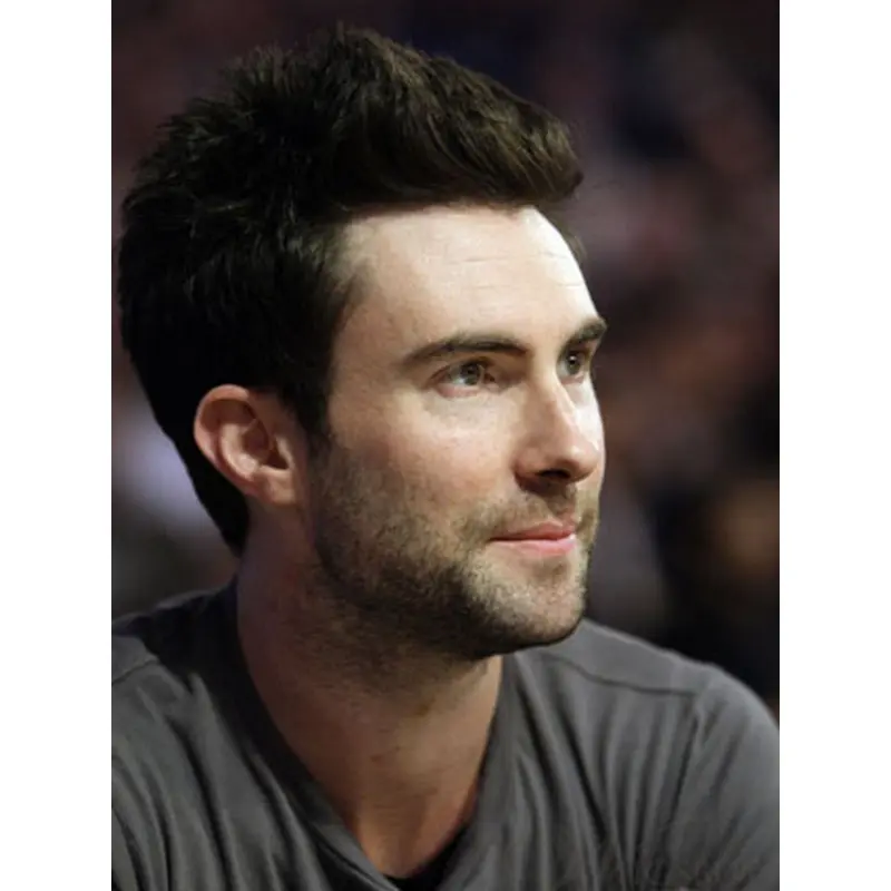 Pleasing Brown Straight Cropped Men Wigs