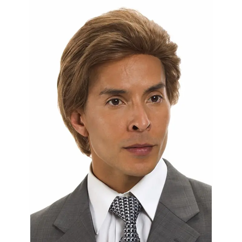 Hairstyles Brown Straight Short Men Wigs