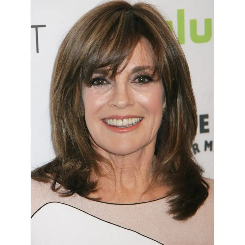 Shoulder Length Straight Full Lace Brown 16" Lady Wigs