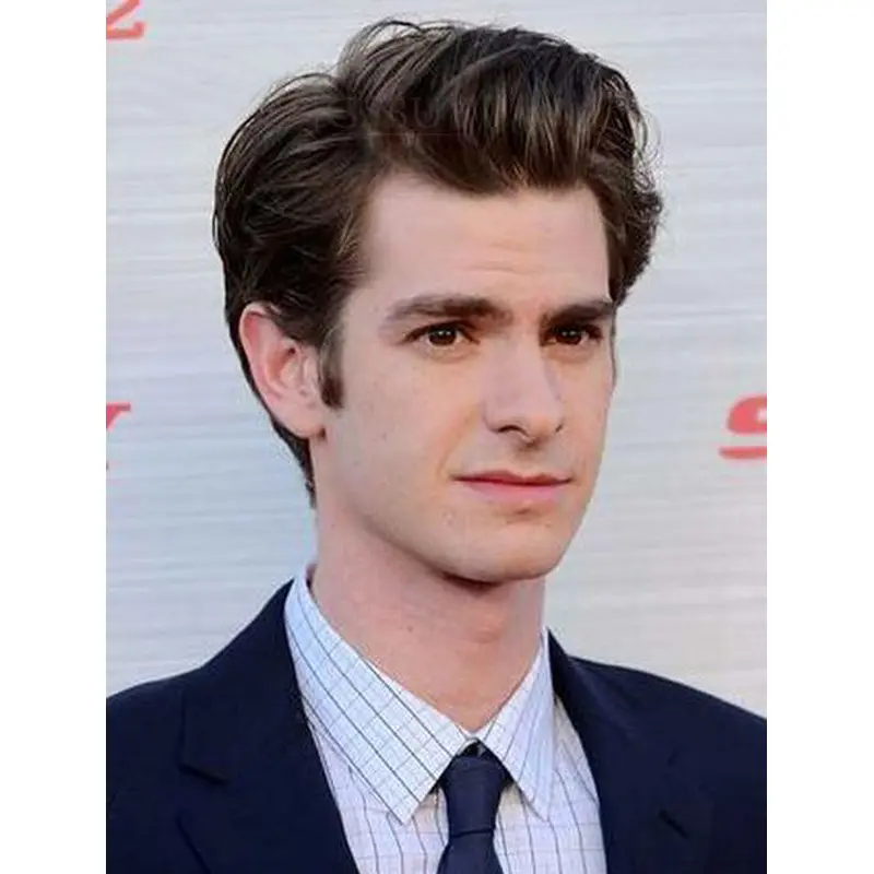 Stylish Brown Straight Short Men Wigs