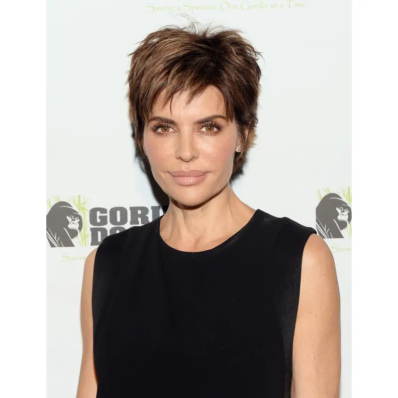 6" Lace Front Synthetic Cropped Brown Lisa Rinna Wigs