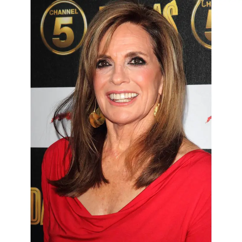 Shoulder Length Straight Full Lace Brown 16" Grey Wigs