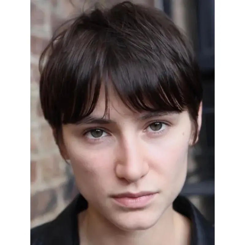 Short Style Wigs Straight Brown Wigs Synthetic Cropped Lace Short Wigss