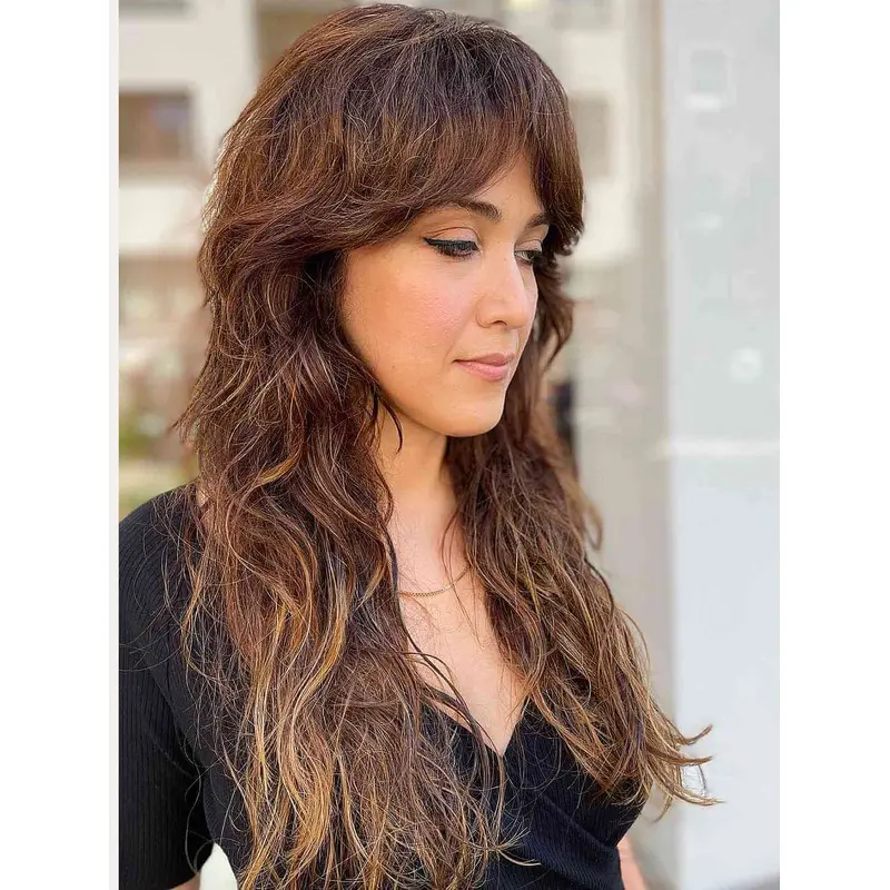 Wigs With Bangs Long Wavy Lace Front Brown Synthetic Curtain Frings Wigs