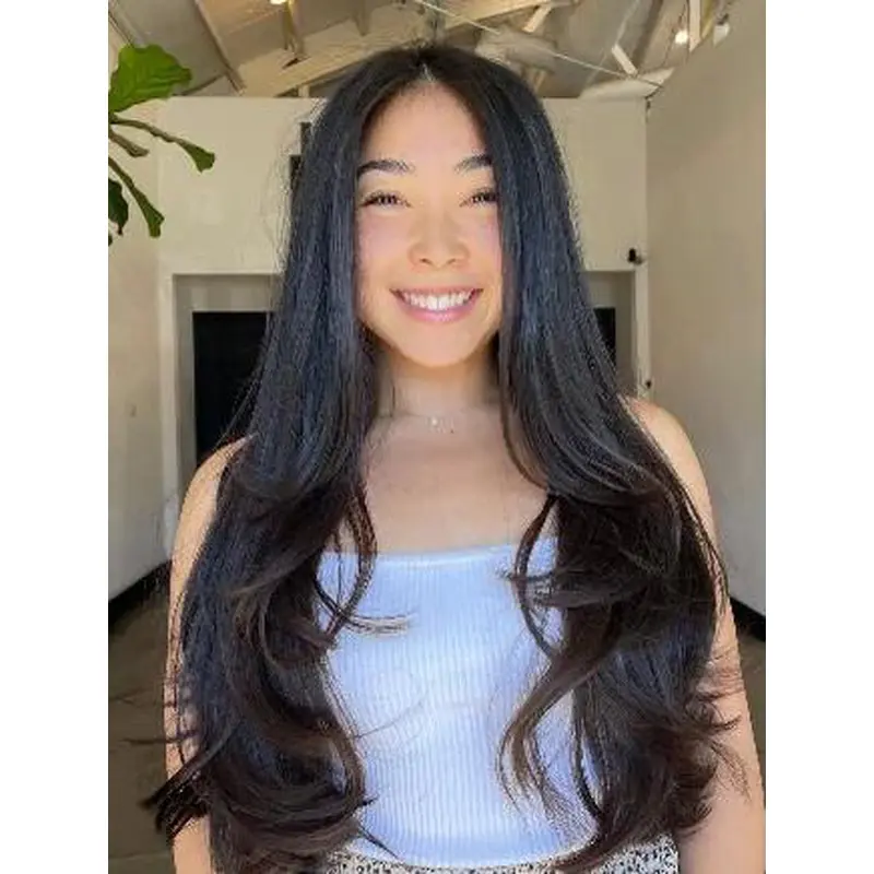 Long Brown Wigs New Synthetic Wig Wavy Brown Long Layers Wigs