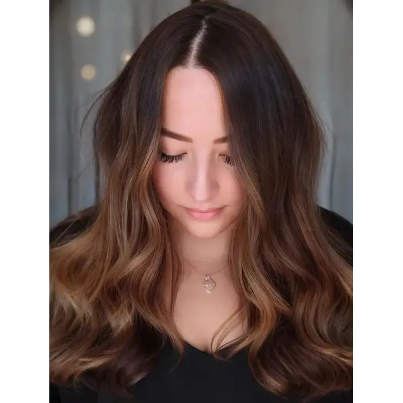 Long Hair Wigs Wavy Synthetic Lace Front Brown Wig Long Layers Hair