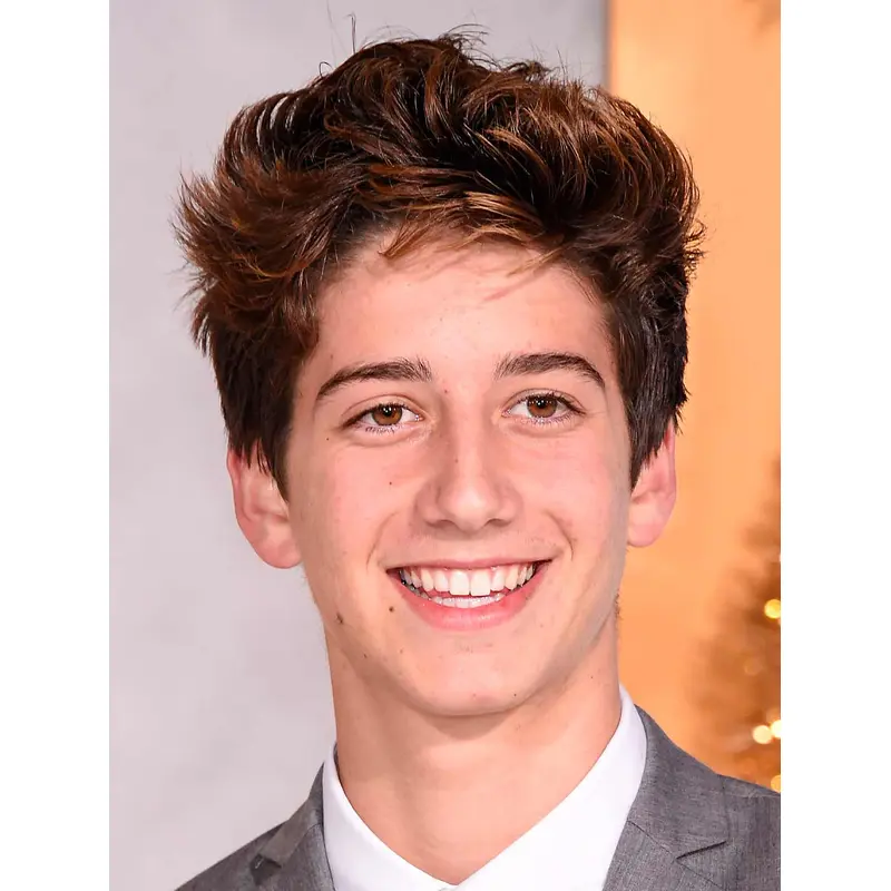 Brown Synthetic 100% Hand-tied Wavy Long Wigs for Men