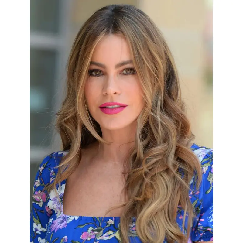 Wigs Ladies Lace Front Brown Synthetic Wavy Long Layers Wigs