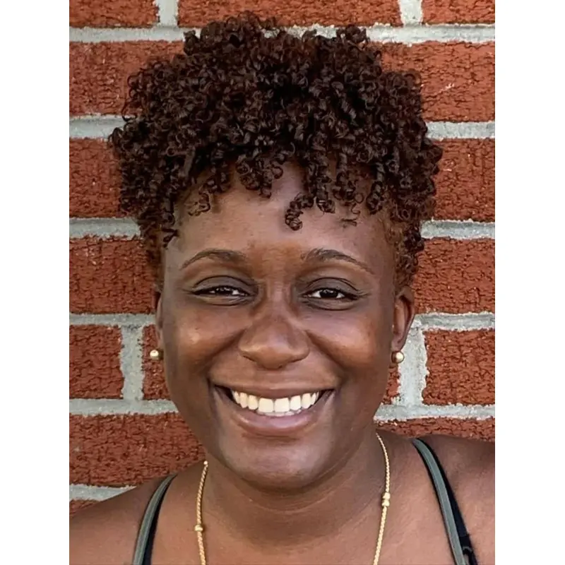 Natural Looking Short Wigs For African American Lace Front Wigs Synthetic Wigs