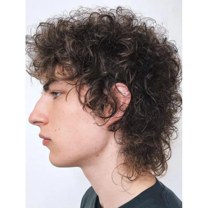 Curly Monofilament Top Remy Human Hair Brown Long Curly Shag Men Wigs